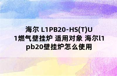 Haier/海尔 L1PB20-HS(T)U1燃气壁挂炉 适用对象 海尔l1pb20壁挂炉怎么使用